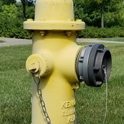 Community Service Project: Paint a Township Fire Hydrant